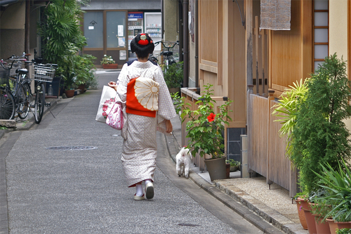 京都でスナップ-1_e0002371_22384061.jpg