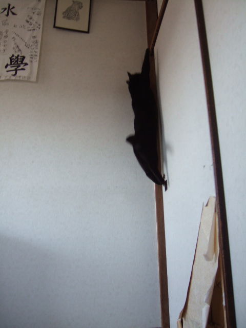 特技その3!_a0040879_2326682.jpg