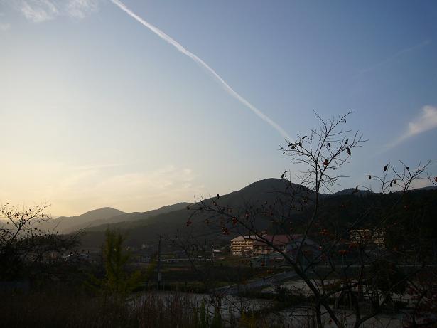 b0019182_21431446.jpg