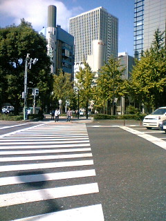 d0081793_13455228.jpg