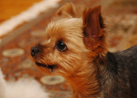 a0013296_22222488.jpg