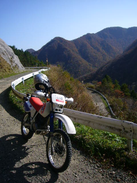 b0050305_17244367.jpg