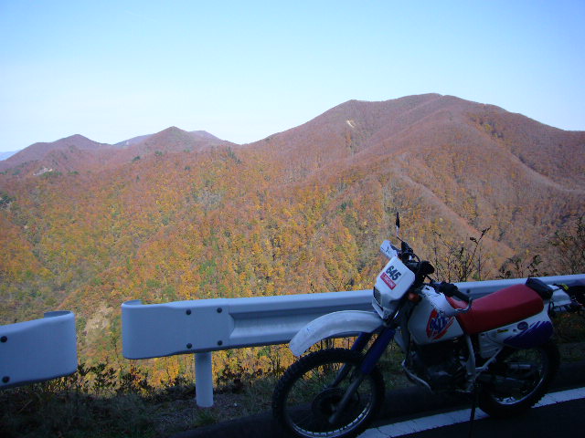 b0050305_17262845.jpg