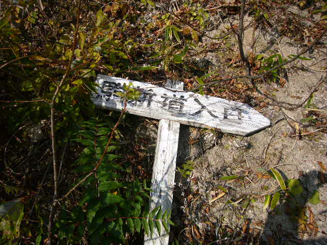 b0050305_17283824.jpg