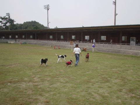 e0100007_2033075.jpg