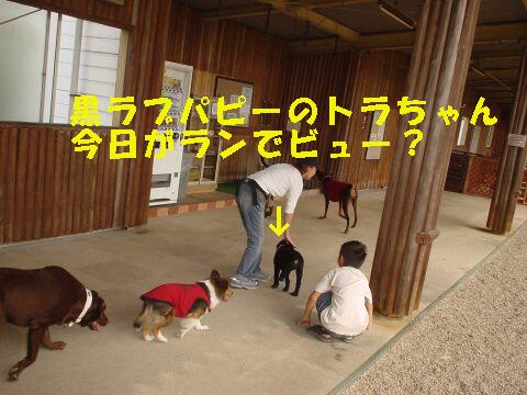 e0100007_2042347.jpg