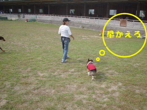 e0100007_2062226.jpg