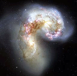 a0055913_042291.gif