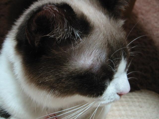 ちっち魔こんちゃん~♪_f0024514_23311737.jpg