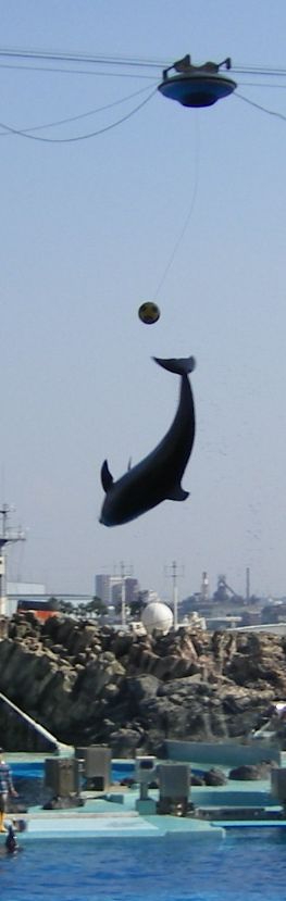 c0025115_0293929.jpg