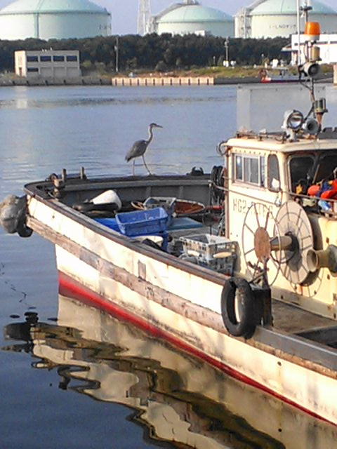 a0048918_19481010.jpg