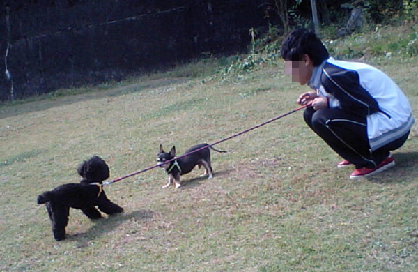 つ・ついに・・・_e0099019_18583668.jpg