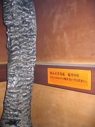 e0018024_19524481.jpg