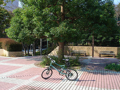 f0009439_19455585.jpg