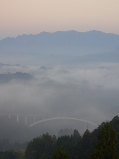 b0016043_12533812.jpg