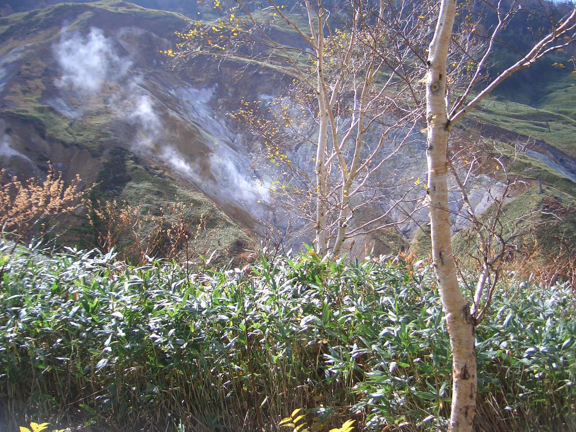 d0061857_28313.jpg