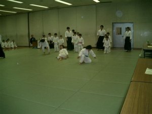 八王子合気道連盟30周年演武会_f0019563_1375517.jpg