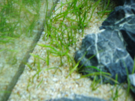 d0090170_20484490.jpg