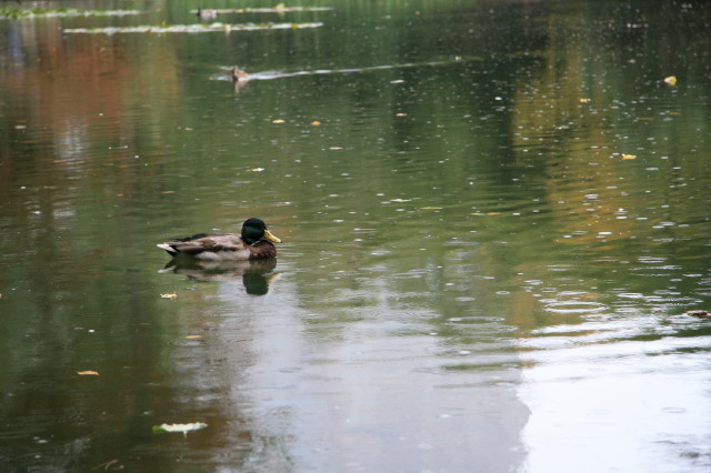 e0100772_2114376.jpg