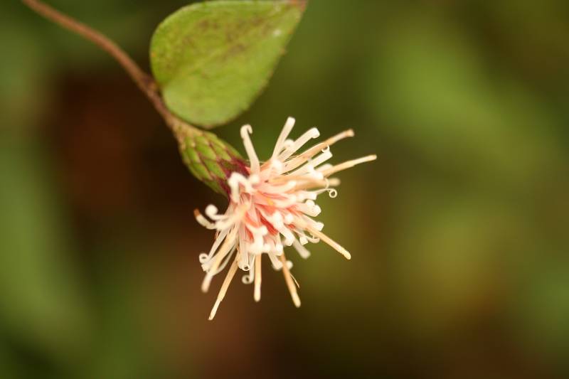 e0024081_1621337.jpg
