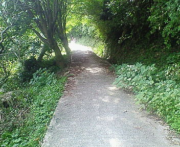 d0077483_161004.jpg
