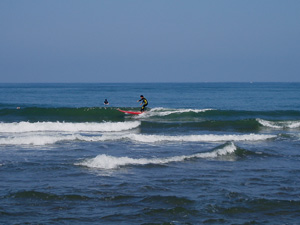 海鍋??_b0099190_17493131.jpg