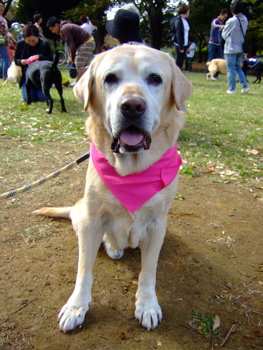 f0001698_34362.jpg