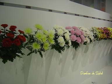 d0087503_14361597.jpg