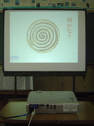 c0052304_691611.jpg