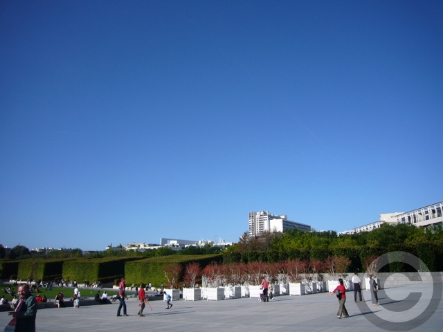 ■パリの公園PARC ANDRE CITROEN(PARIS)_a0008105_552382.jpg