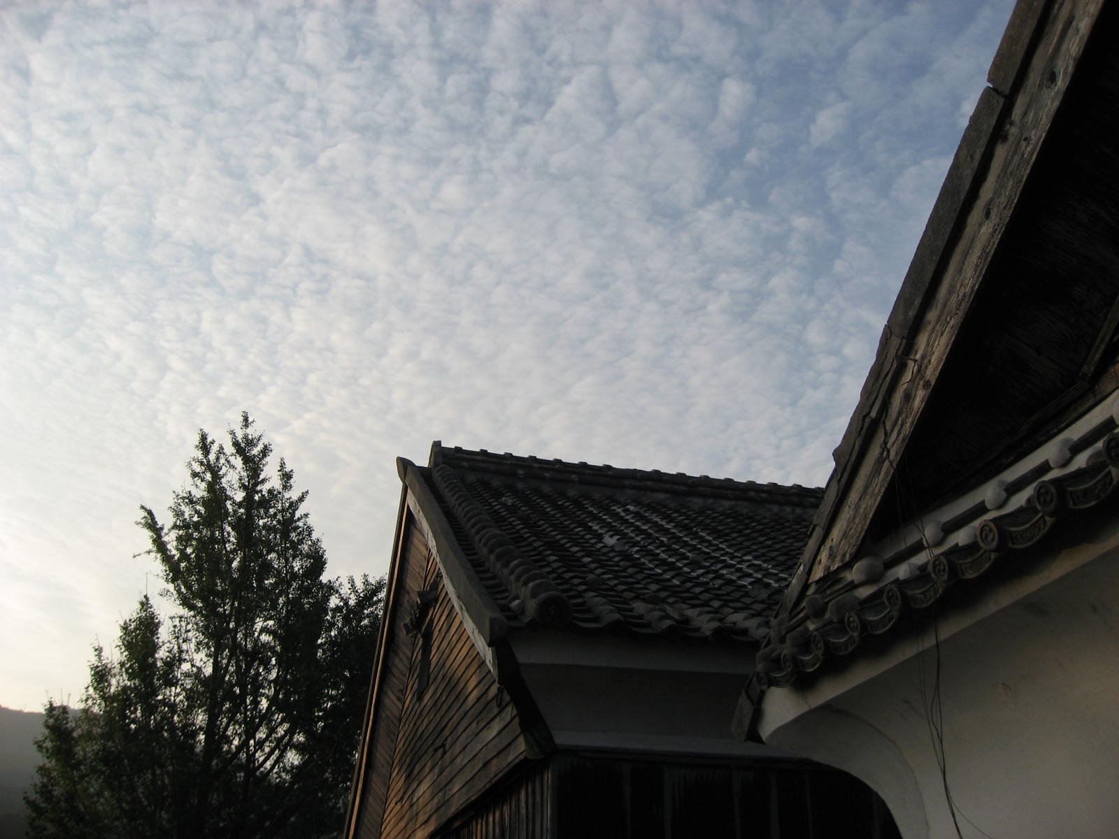 e0001406_023882.jpg