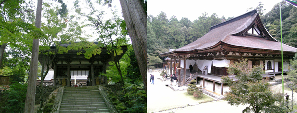 西明寺―秋の湖東三山―_b0101712_1050976.jpg