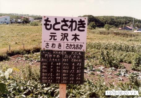 1979年8月20日　北海道　４_f0039421_1653144.jpg