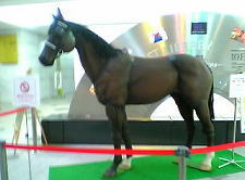 c0025724_2031281.jpg