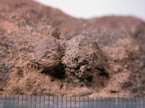 d0045626_9184548.jpg