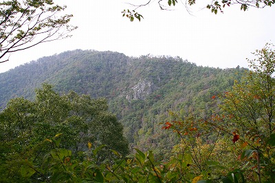 歴史ロマン 湖北の小谷山(滋賀県)_d0055236_1125667.jpg
