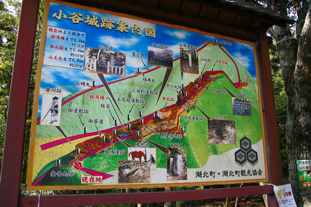 歴史ロマン 湖北の小谷山(滋賀県)_d0055236_11462831.jpg