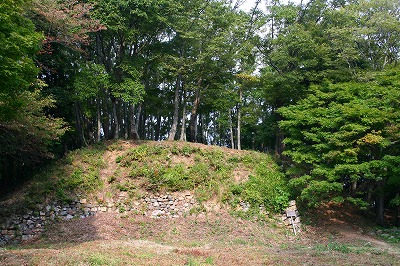 歴史ロマン 湖北の小谷山(滋賀県)_d0055236_12172997.jpg