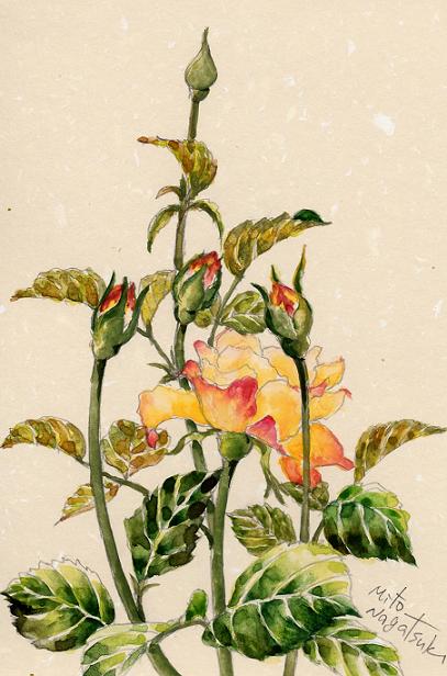 秋の薔薇vol.2_b0089338_0355740.jpg