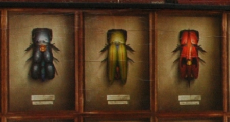 c0055857_9292575.jpg