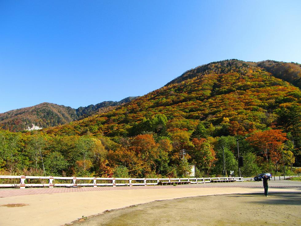 f0052569_20384241.jpg