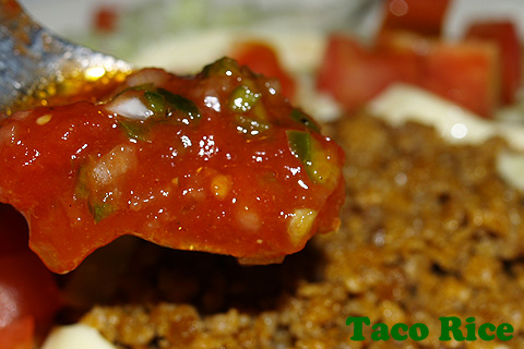 Taco Rice（タコライス）_a0002073_083571.jpg