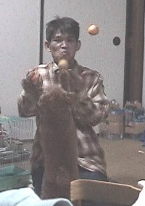 f0061283_20434069.jpg