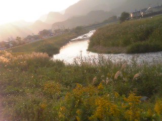f0057286_17462977.jpg