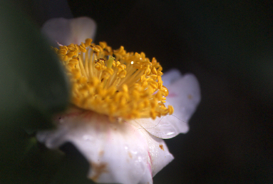 d0025894_028674.jpg