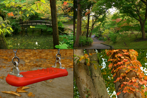 紅葉の岩手公園 【色づきはじめ編】_b0072697_18322196.jpg