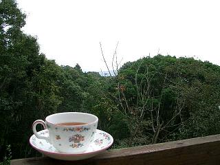 d0090300_1172881.jpg