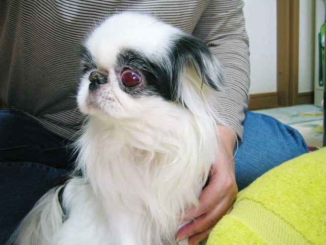 d0079302_16155224.jpg