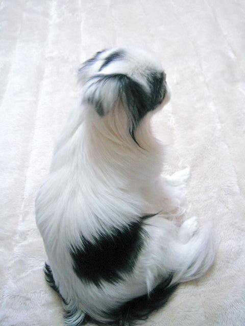 d0079302_161614.jpg
