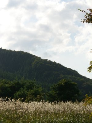 秋の気配_f0090602_16134177.jpg